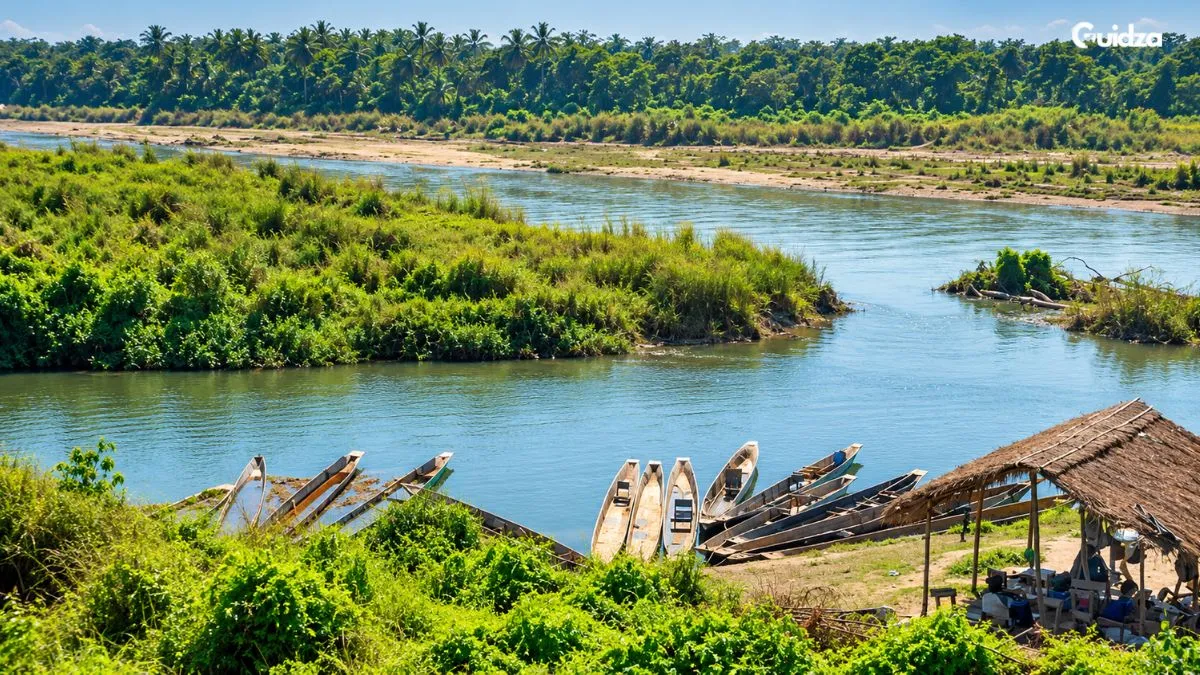 Travel to Chitwan